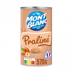 LOT DE 4 - MONT BLANC - Crème Dessert Au Praliné - boite de 570 g