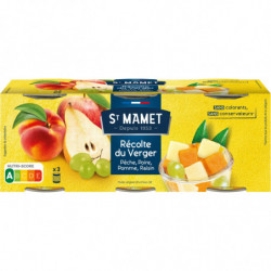 LOT DE 4 - ST MAMET - Coupe Du Verger Boite - pack de 375 g