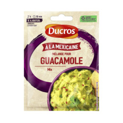 LOT DE 2 - DUCROS - Mélange Pour Guacamole - Mélange d'épices - sachet de 20 g